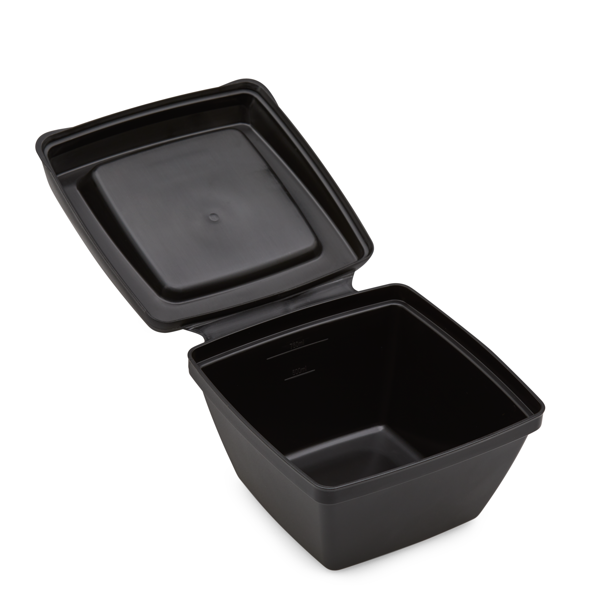 Black Plastic Food Container with attached lid